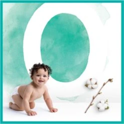 Pampers® Pampers - Harmonie / Pure - Maat 1 - Mega Pack - 80 Luiers -Winkel Voor Babyverzorgingsproducten 1198x1200 40