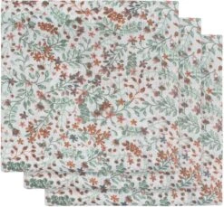 Jollein Hydrofiel Multidoek Snake 70x70cm - Ash Green - 3 Stuks -Winkel Voor Babyverzorgingsproducten 1200x1113 6