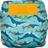 Totsbots Wasbare Zwemluier - Rainbow Whale - Maat 2 1 Totsbots Wasbare Zwemluier - Rainbow Whale - Maat 2 -Winkel Voor Babyverzorgingsproducten 1200x1155