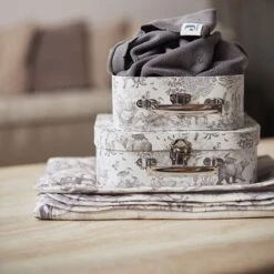 Jollein Hydrofiele Doek 70x70cm Pimpelmees Forest Animals - 2 Stuks -Winkel Voor Babyverzorgingsproducten 1200x1200 1453