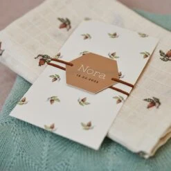 Jollein Hydrofiele Doek Small 70x70cm - Rosehip - 3 Stuks -Winkel Voor Babyverzorgingsproducten 1200x1200 1506