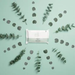 Naïf Plasticvrije Billendoekjes - Voordeelverpakking Box 8 Stuks - 54 Doekjes Per Pak - Met Natuurlijke Ingrediënten -Winkel Voor Babyverzorgingsproducten 1200x1200 182