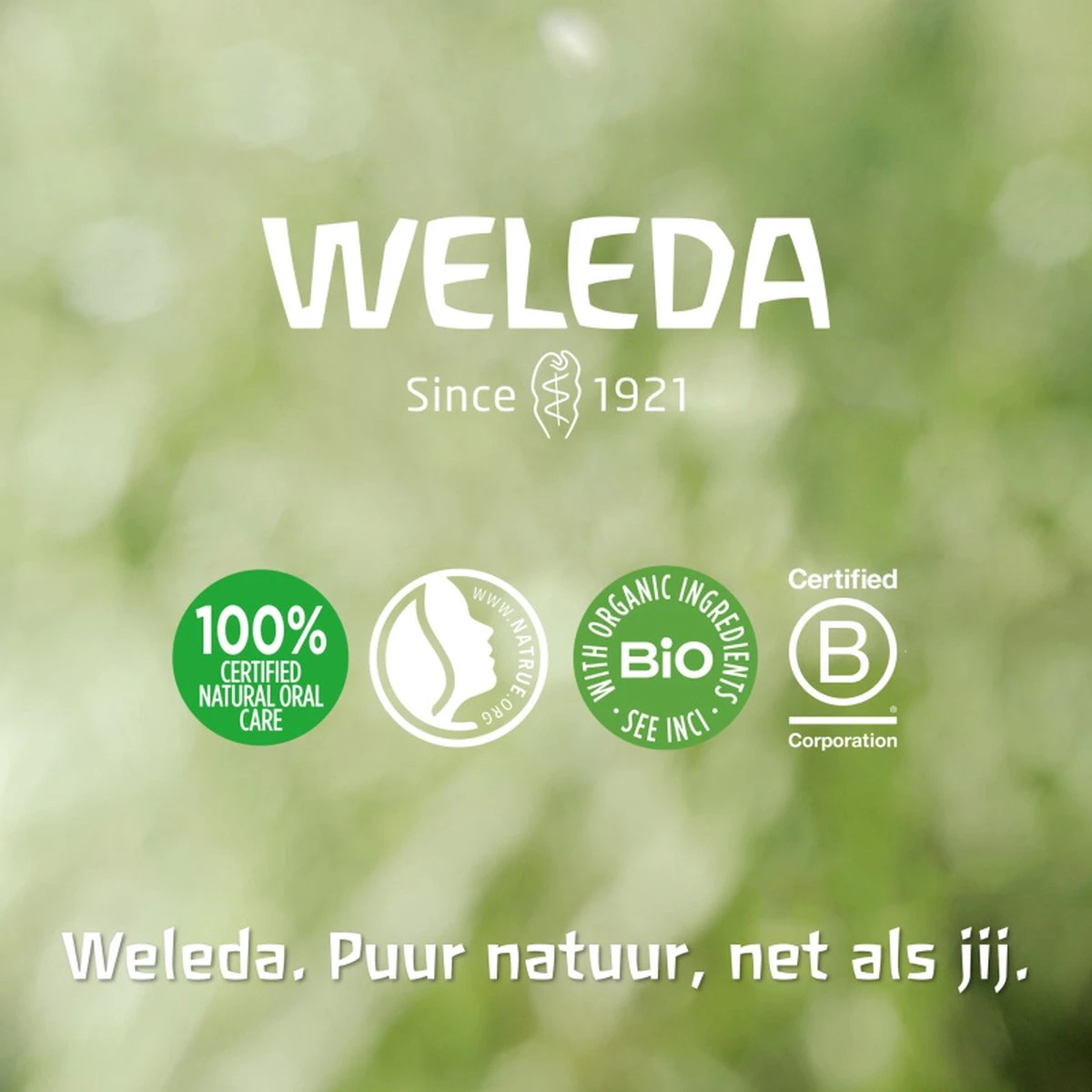 Weleda Baby Buikjesolie 7 Weleda Baby Buikjesolie - Afbeelding 5