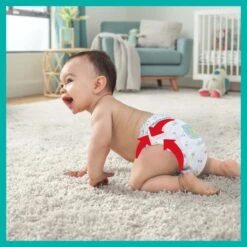 Pampers® Pampers Premium Protection Pants Luierbroekjes - Maat 5 (12-17 Kg) - 132 Stuks - Multi-Pack -Winkel Voor Babyverzorgingsproducten 1200x1200 381