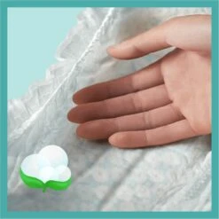 Pampers® Pampers Baby-Dry Maat 6 - 164 Luiers (2 X 82) - 13-18kg -Winkel Voor Babyverzorgingsproducten 1200x1200 810