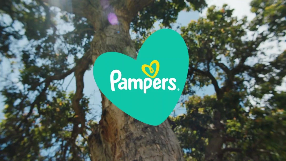 Pampers® Pampers Baby-Dry Luiers - Maat 5+ (12-17 Kg) - 132 Stuks - Multi-Pack 16 Pampers® Pampers Baby-Dry Luiers - Maat 5+ (12-17 Kg) - 132 Stuks - Multi-Pack - Afbeelding 14