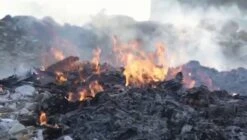 ECOBOOM Bamboe Eco Wegwerp Luiers 90 STUKS - Maat 1, Maat 2 (Small 3-8kg) - Bambo Luier - Meest Natuurlijke, Duurzame En Ecologisch Bamboo Luierbroekje- Organische Wegwerpluier - Eco Luiers - Bio Luiers -Winkel Voor Babyverzorgingsproducten 1200x679