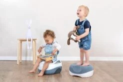 Safety 1st 3 In 1 Potje - Potje, Zitverkleiner, Opstapje - Grijs -Winkel Voor Babyverzorgingsproducten 1200x799 59