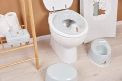 Bebe-Jou Nijntje Nina Toiletverkleiner 603807 -Winkel Voor Babyverzorgingsproducten 1200x799 60