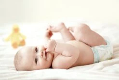 Zwitsal Luiers - Mini Maat 2 - 252 Stuks - Voordeelverpakking -Winkel Voor Babyverzorgingsproducten 1200x800 12