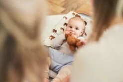 Jollein Hydrofiel Multidoek 115x115cm - Savannah - 2 Stuks -Winkel Voor Babyverzorgingsproducten 1200x800 137