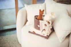 Jollein Hydrofiel Multidoek 115x115cm - Savannah - 2 Stuks -Winkel Voor Babyverzorgingsproducten 1200x800 140