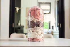 Jollein Hydrofiel Multidoek Meadow 70x70cm - Chestnut - 3 Stuks -Winkel Voor Babyverzorgingsproducten 1200x800 62